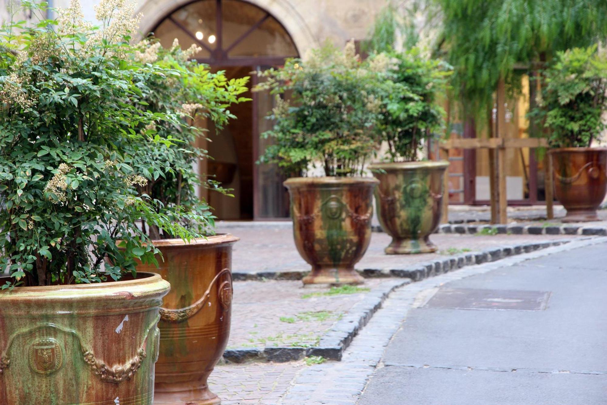 Le Jardin Secret - Balneo & Spa Montpellier Eksteriør billede